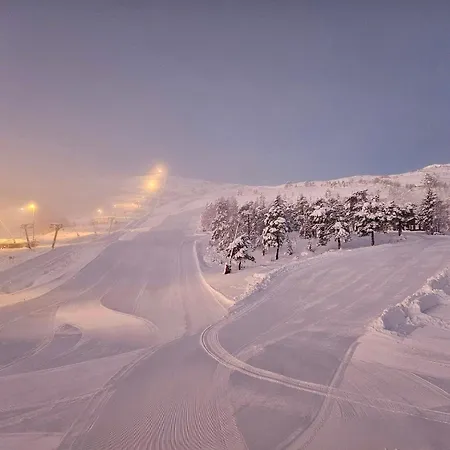 Сasa de vacaciones Ovre Furedalen 107 Norheimsund